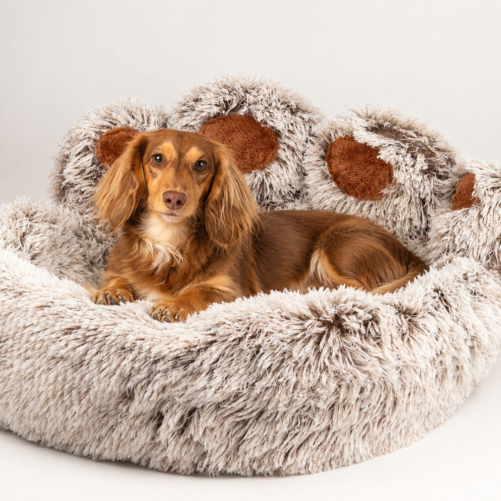 PAW Bed – Large Big Paw – 70cm 🇬🇧