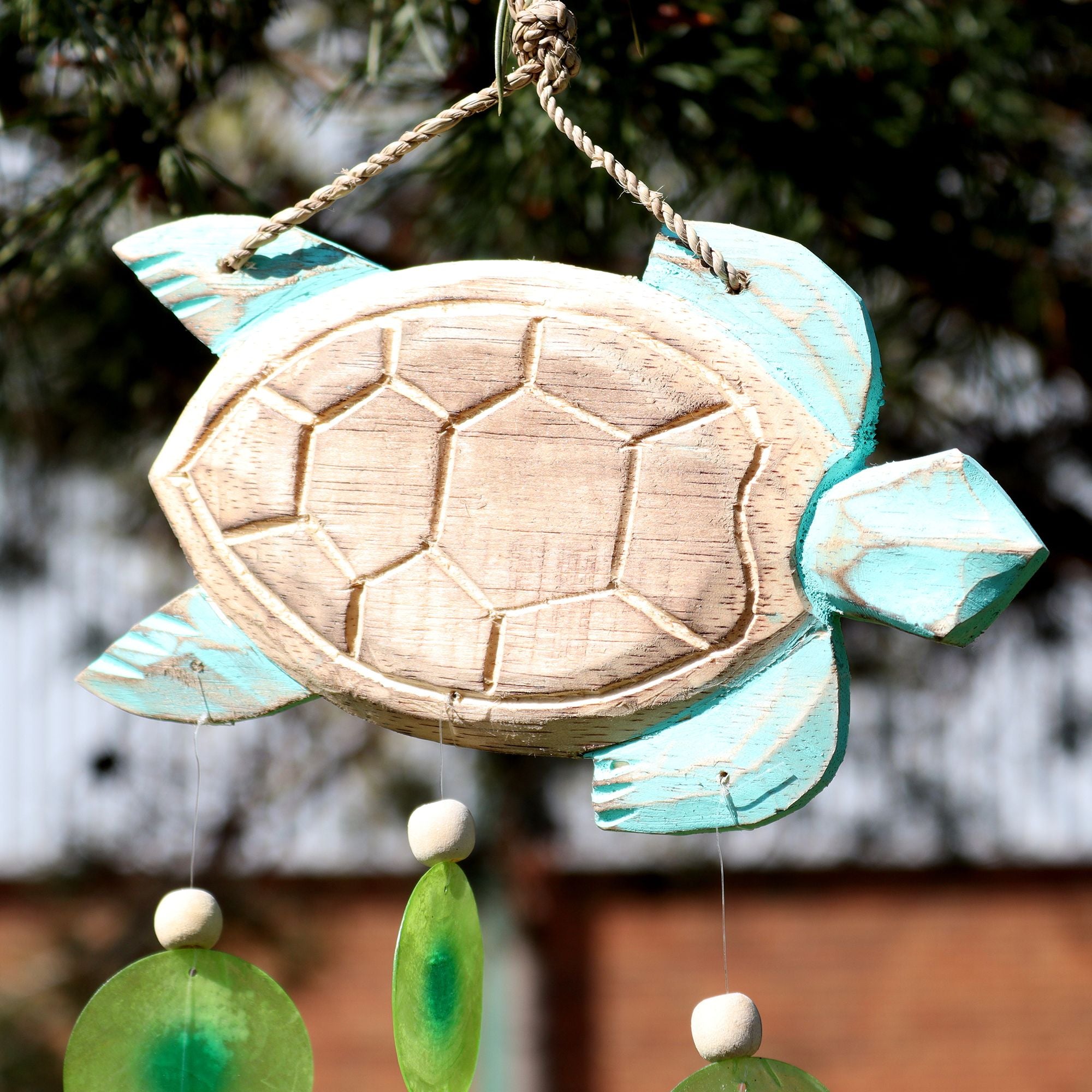 Aqua Turtle Carving and Copis Drop 🇬🇧