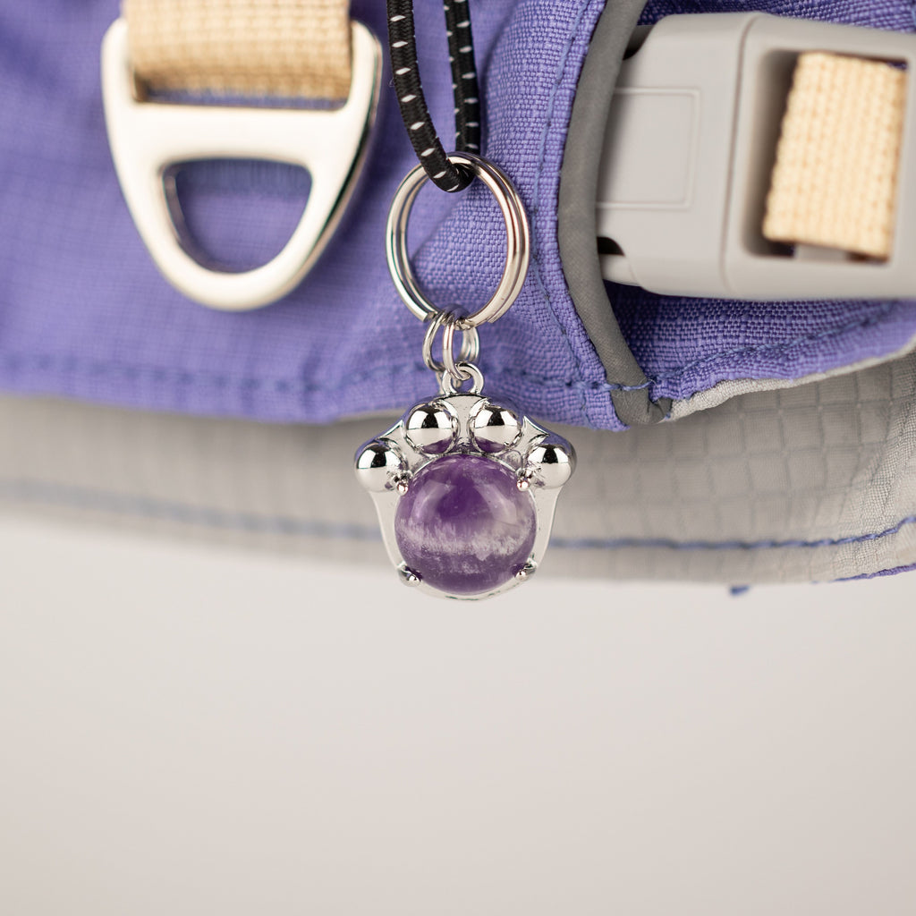 PAW - XS (2-4Kg) Dog Step-in Guardian Harness with Reflective Mesh - Lavender - Amethyst Charm 🇬🇧