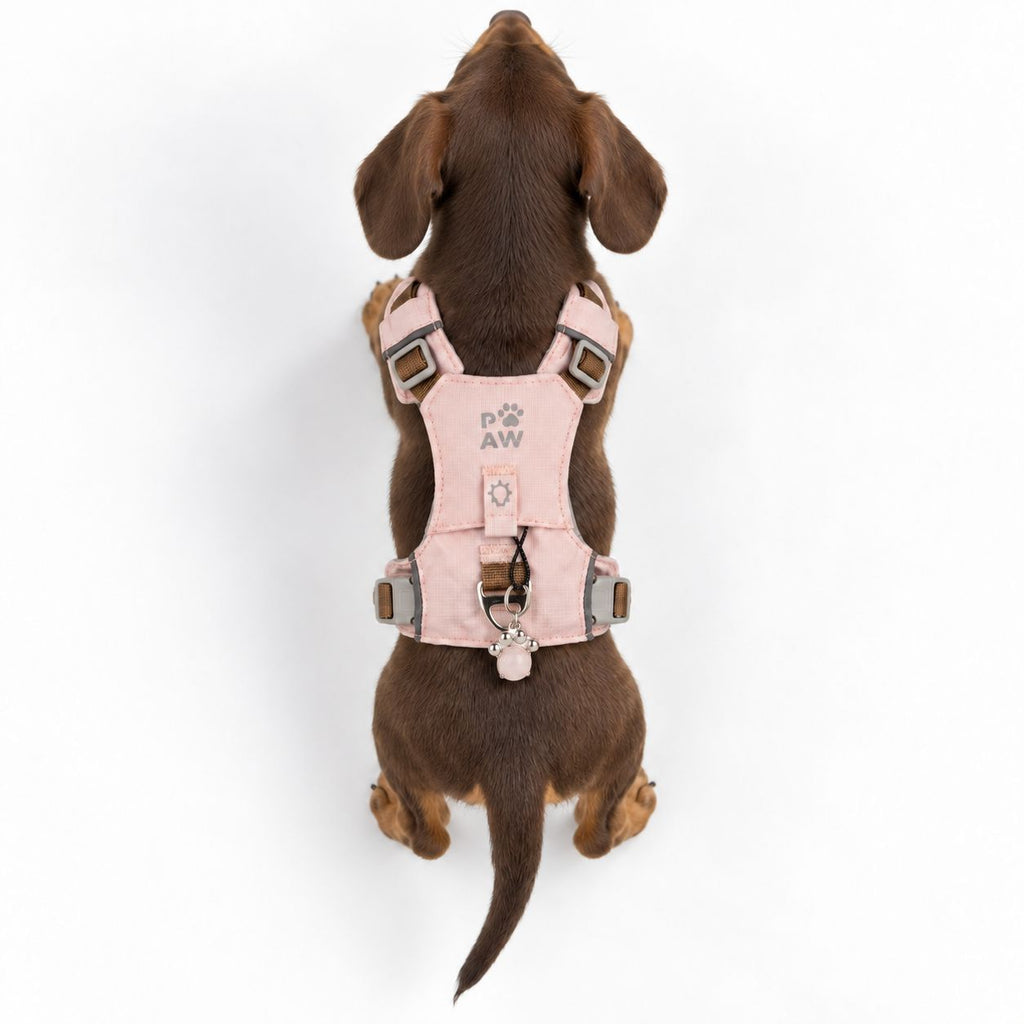 PAW - XS (2-4Kg) Dog Step-in Guardian Harness with Reflective Mesh - Soft Pink - Rose Quartz Charm 🇬🇧