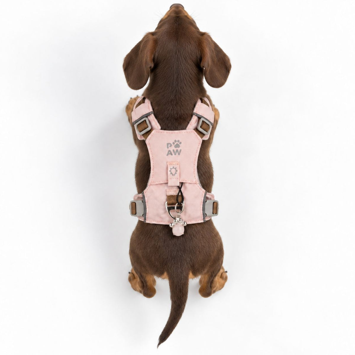 PAW - XS (2-4Kg) Dog Step-in Guardian Harness with Reflective Mesh - Soft Pink - Rose Quartz Charm 🇬🇧