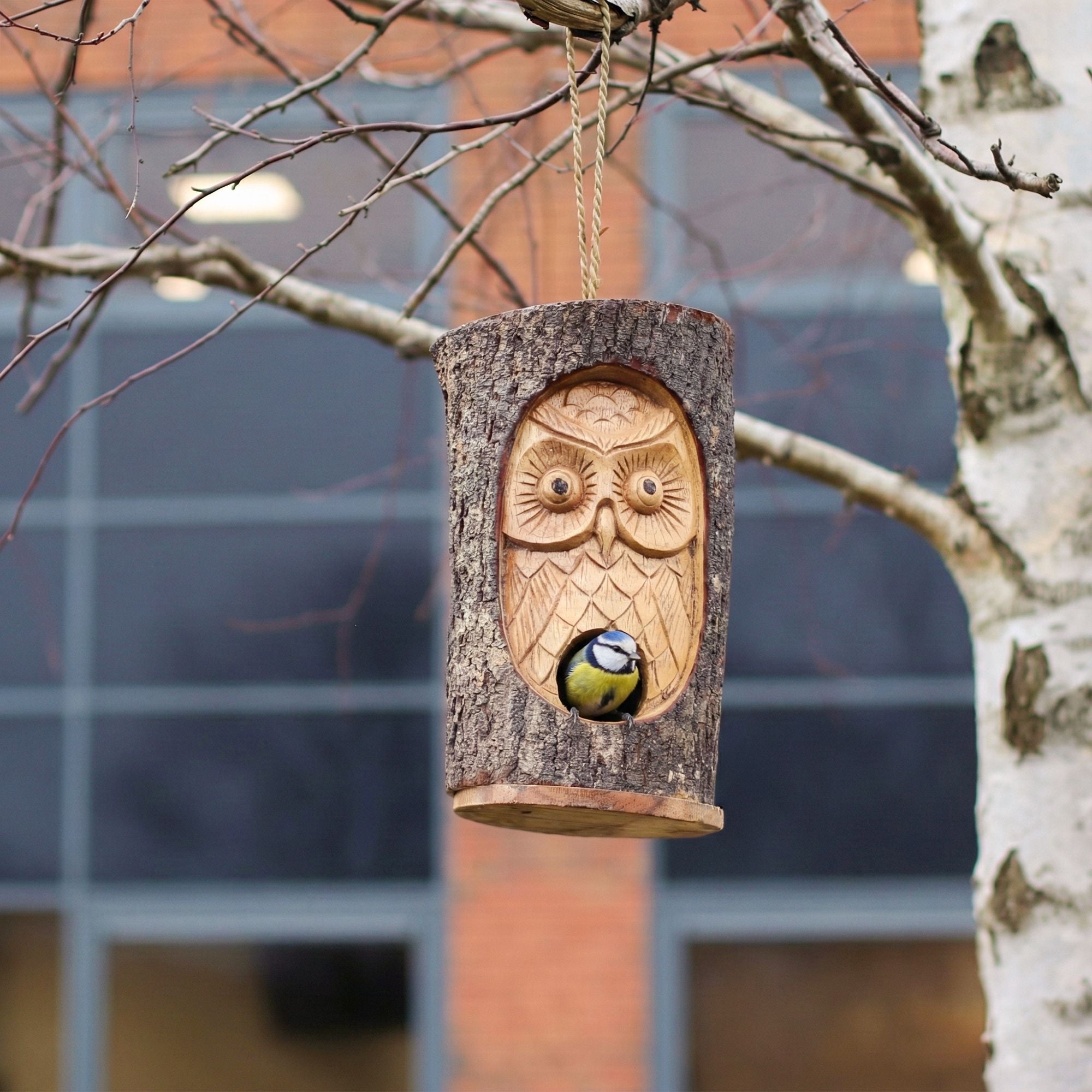Tree Trunk Face - Bird House - Wise Owl 🇬🇧