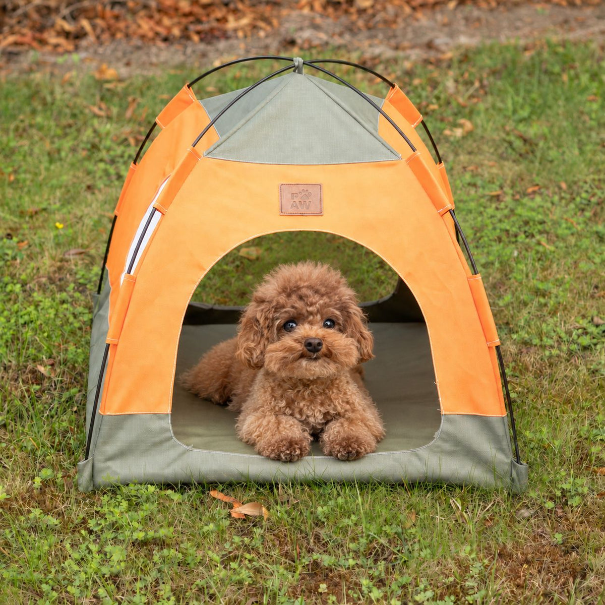 PAW Bed – Green & Orange Tent – 48 × 48 × 40cm 🇬🇧