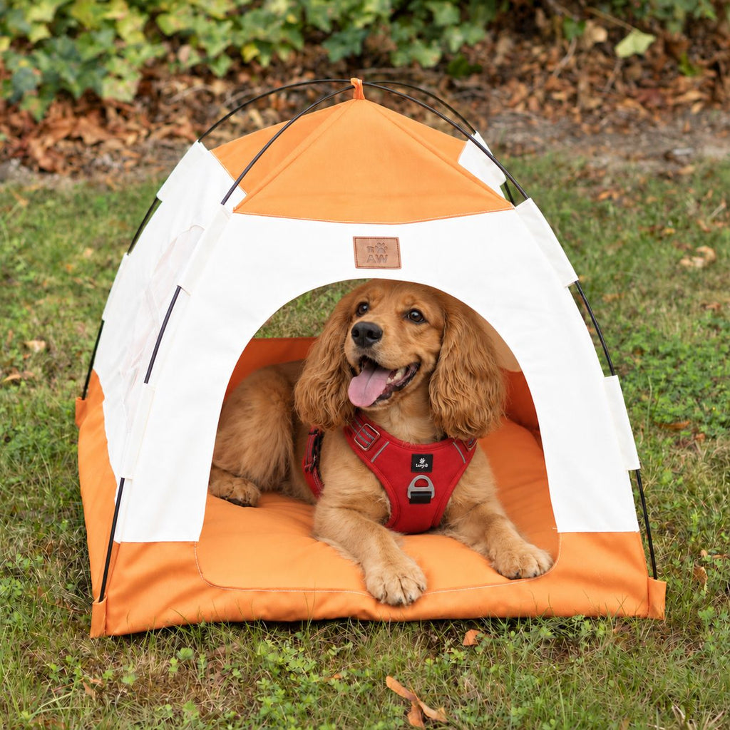 PAW Bed – Beige & Orange Tent – 58 × 58 × 48cm 🇬🇧