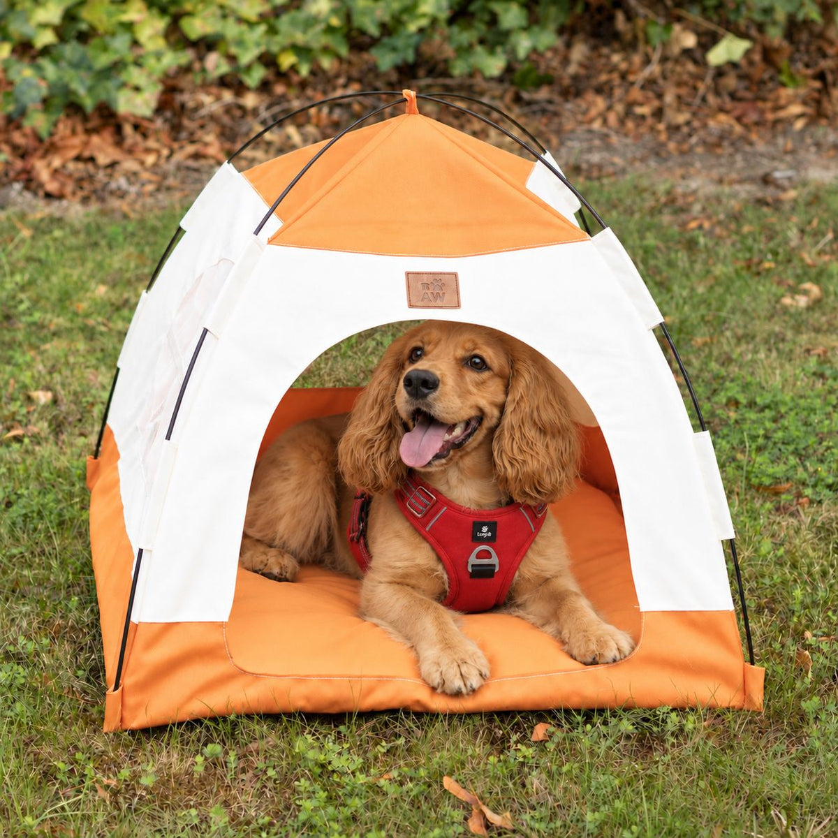 PAW Bed – Beige & Orange Tent – 58 × 58 × 48cm 🇬🇧