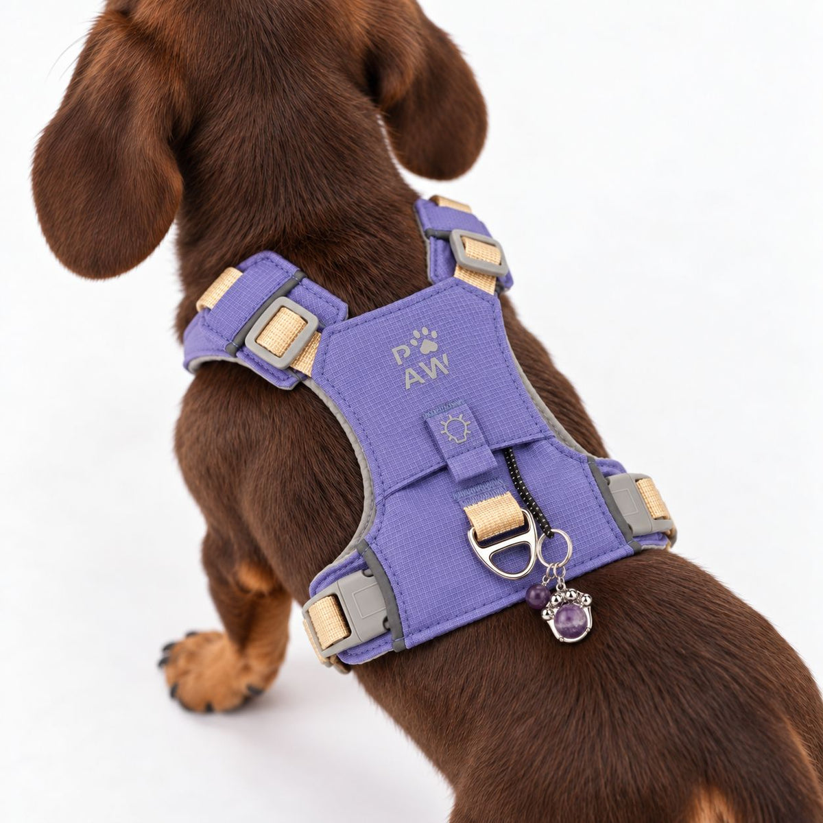 PAW - XS (2-4Kg) Dog Step-in Guardian Harness with Reflective Mesh - Lavender - Amethyst Charm 🇬🇧