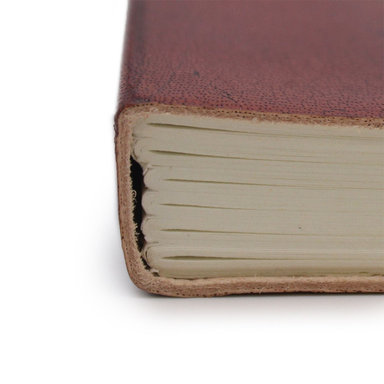 Medium Notebook with strap - Palmistry 🇬🇧