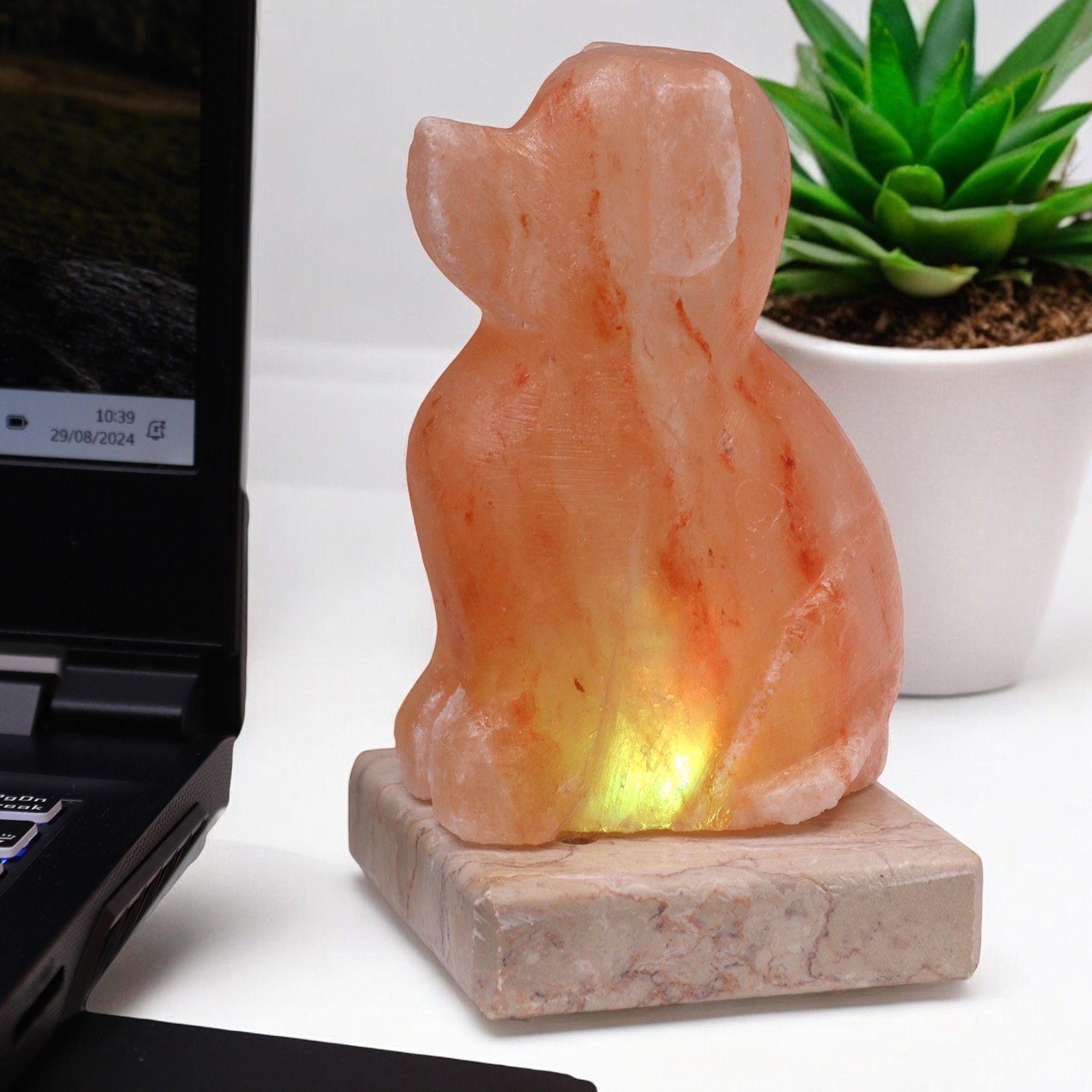 USB Dog Shaped (Multi) 🇬🇧