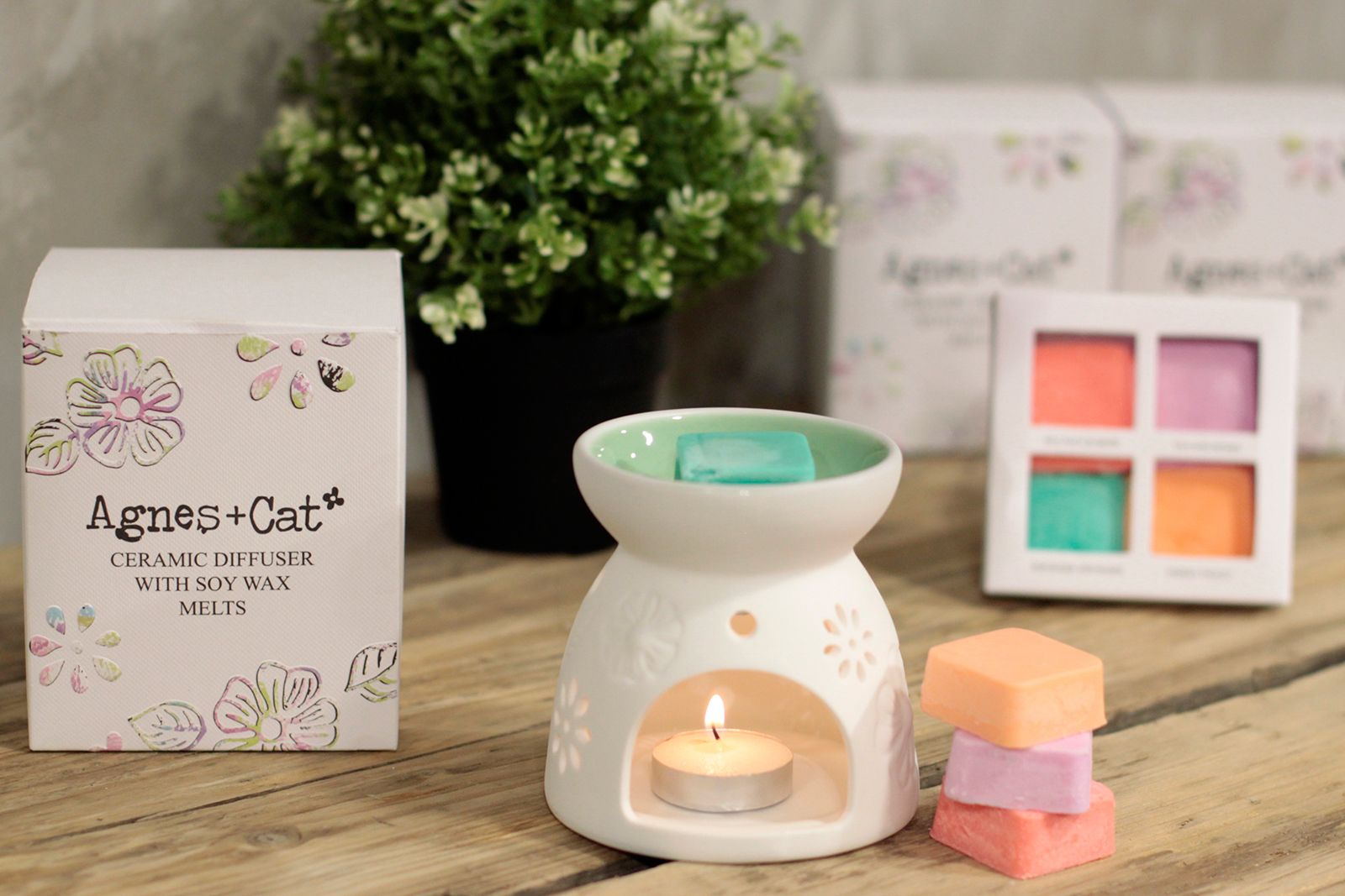 Wax Melter with Four Soy Wax Melts 🇬🇧