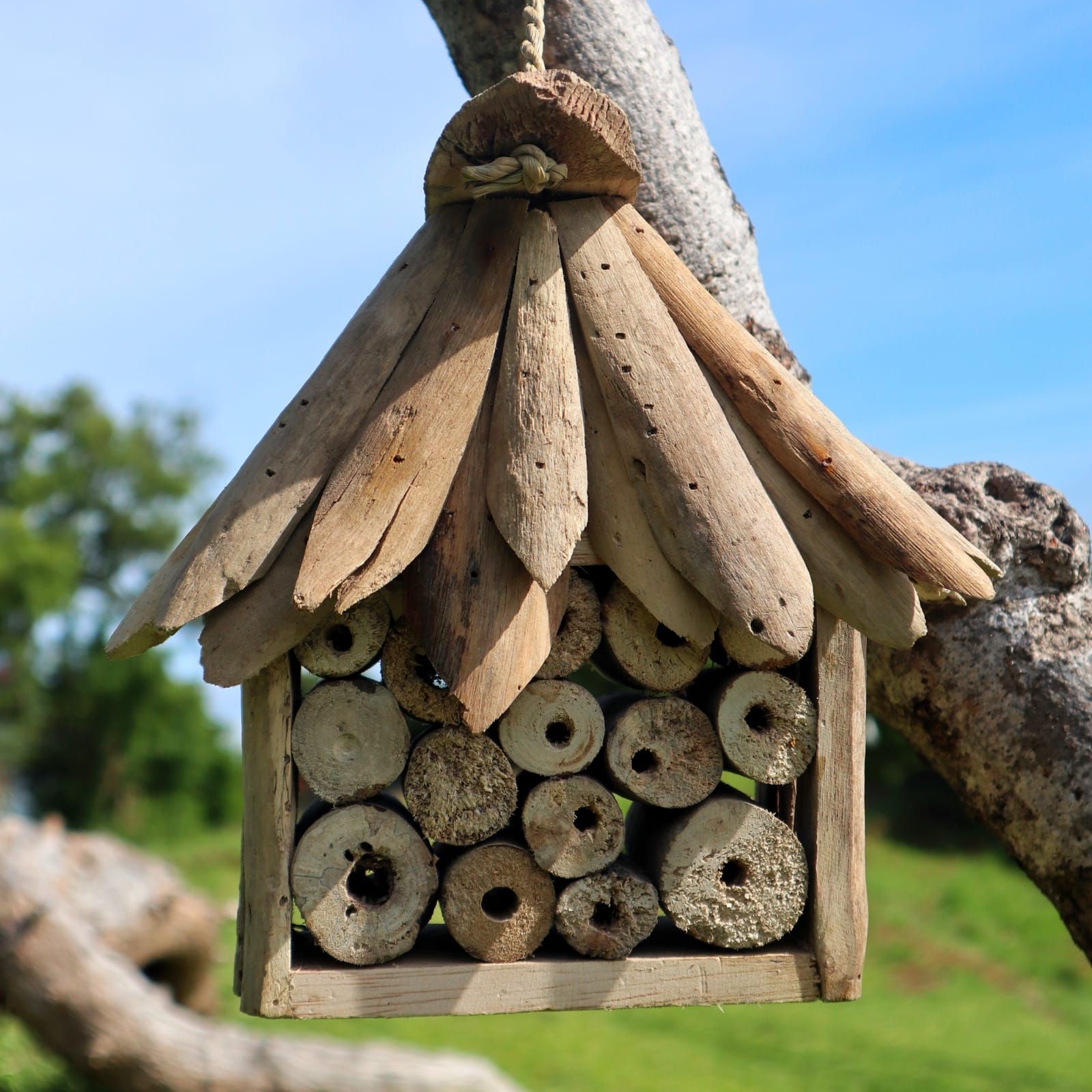 Driftwood Bee & Insect Box 🇬🇧
