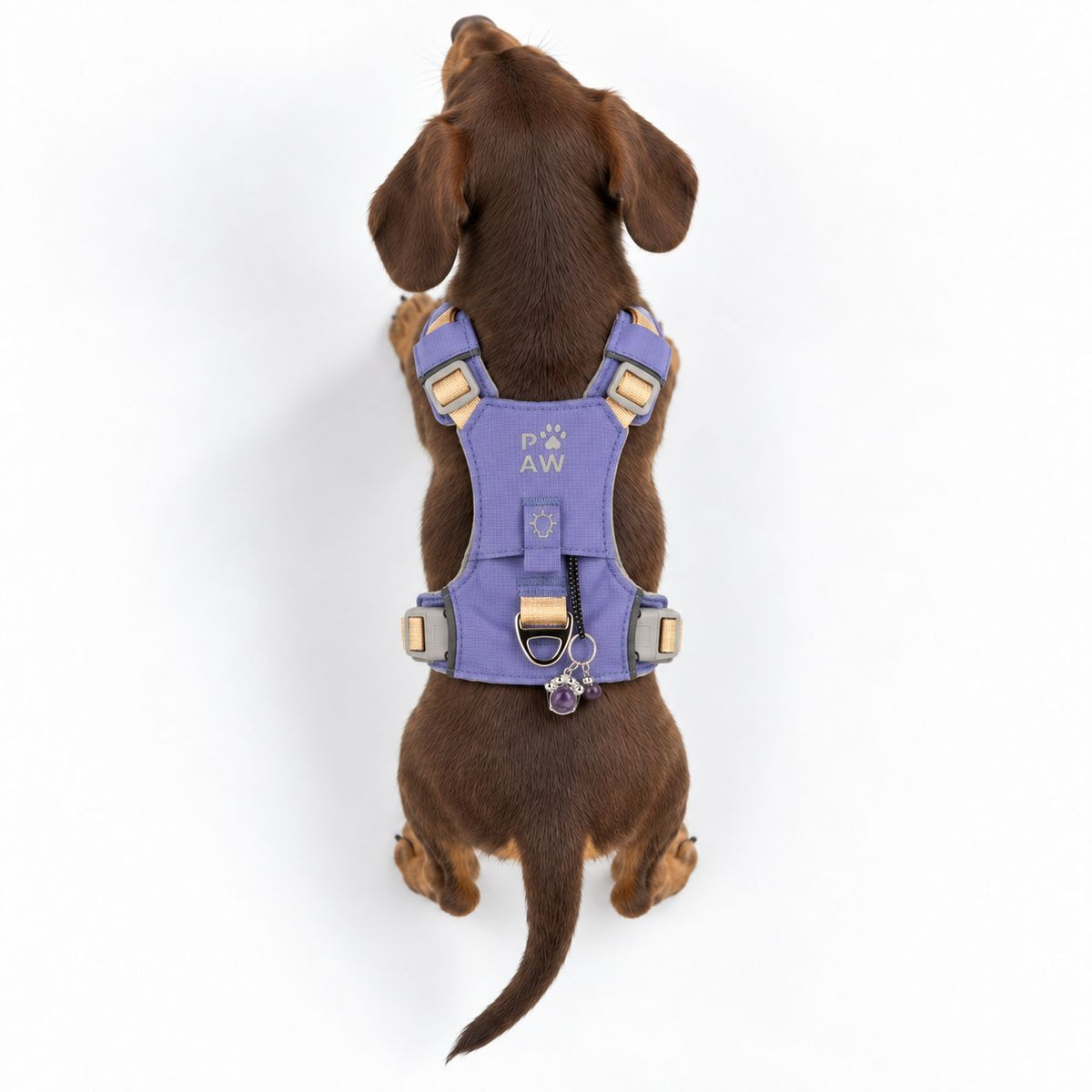 PAW - XS (2-4Kg) Dog Step-in Guardian Harness with Reflective Mesh - Lavender - Amethyst Charm 🇬🇧