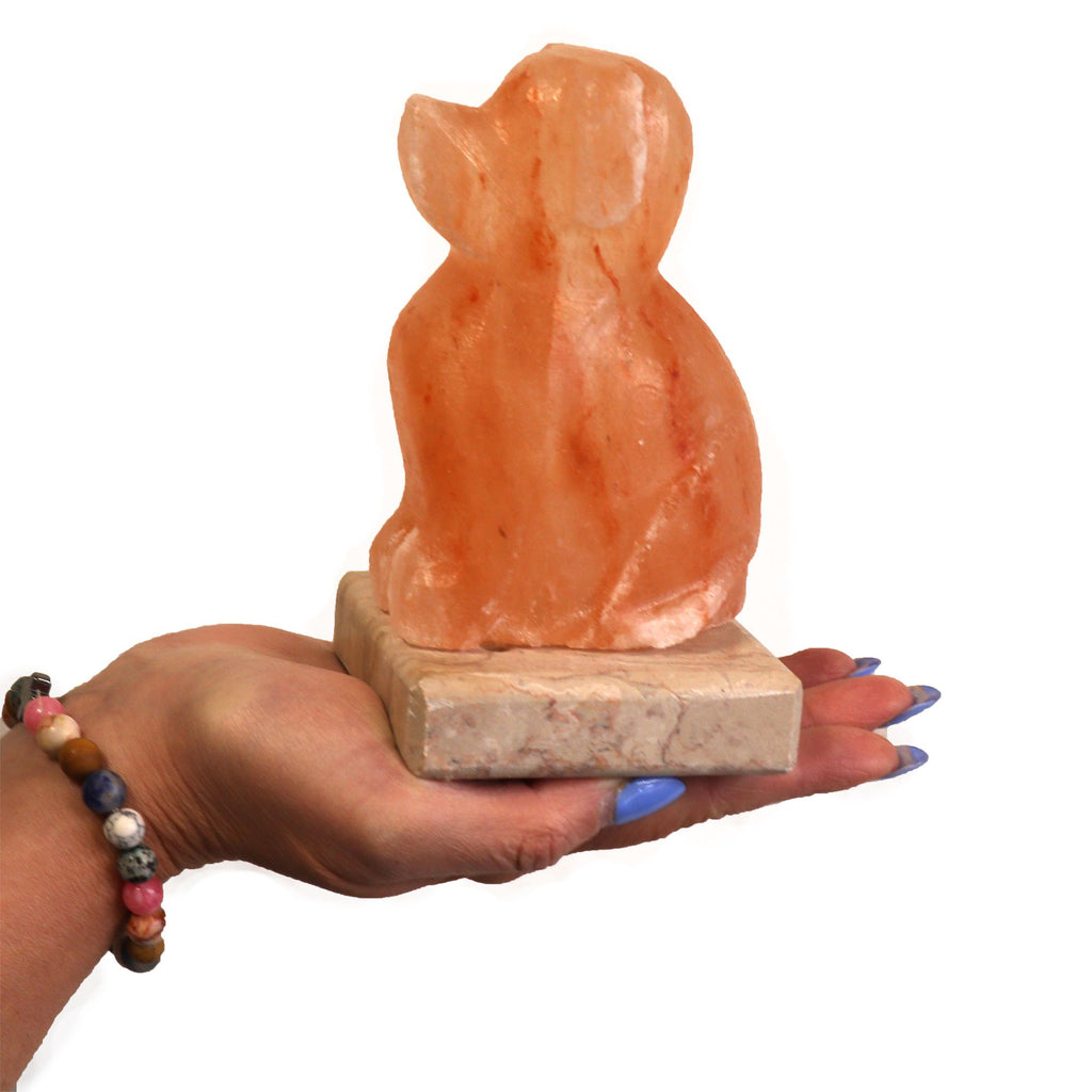 USB Dog Shaped (Multi) 🇬🇧