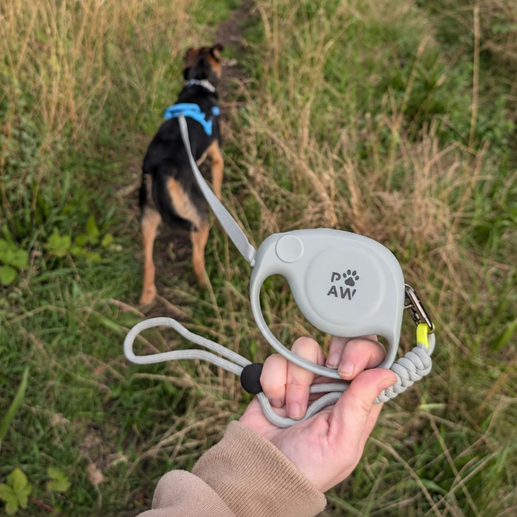 Paw Pet Leash - Elephant Strap - Grey - 2m 🇬🇧