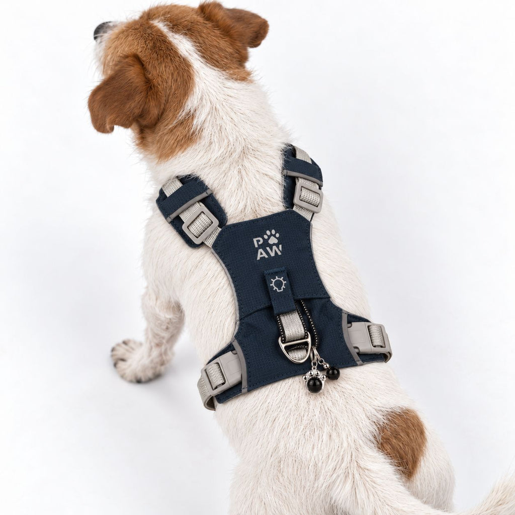 PAW - S (4-8Kg) Dog Step-in Guardian Harness with Reflective Mesh - Rock Grey - Black Obsidian Charm 🇬🇧
