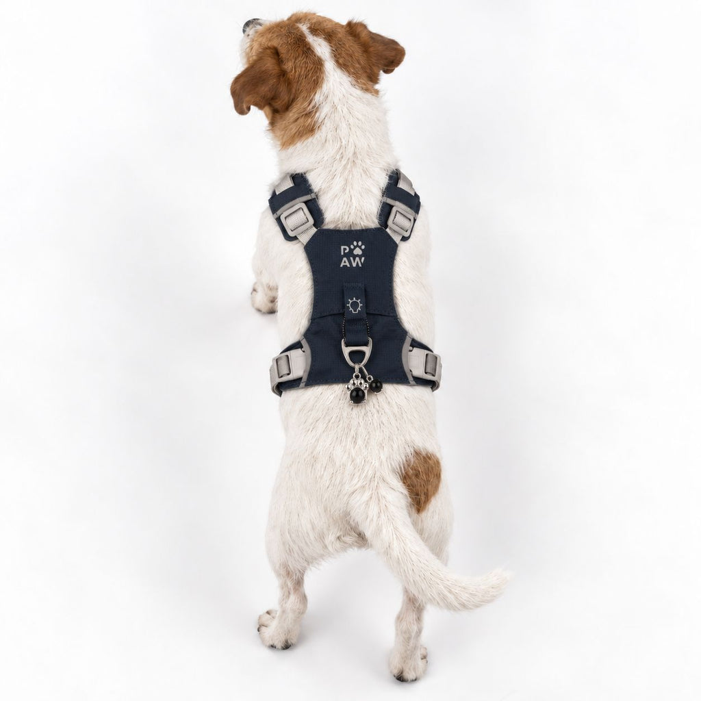 PAW - S (4-8Kg) Dog Step-in Guardian Harness with Reflective Mesh - Rock Grey - Black Obsidian Charm 🇬🇧