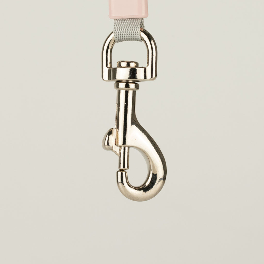 Paw Pet Leash - Mini Mango - Peach - 3m 🇬🇧