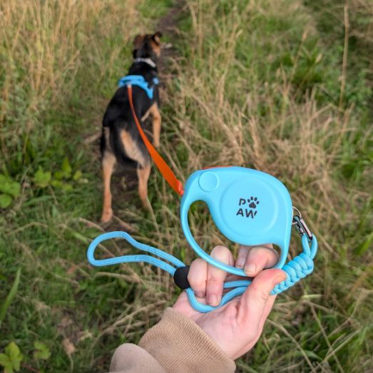 Paw Pet Leash - Elephant Strap - Blue - 2m 🇬🇧