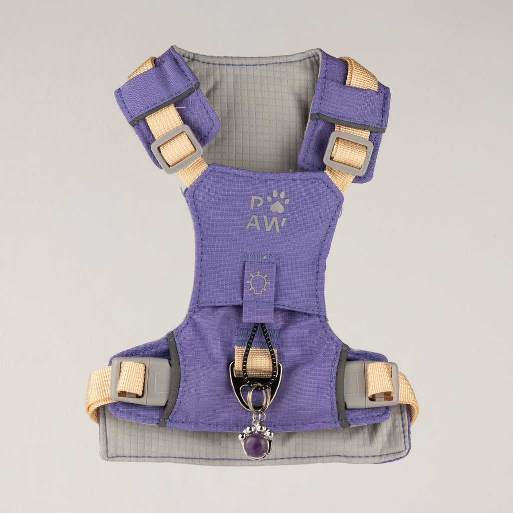 PAW - S (4-8Kg) Dog Step-in Guardian Harness with Reflective Mesh - Lavender - Amethyst Charm 🇬🇧