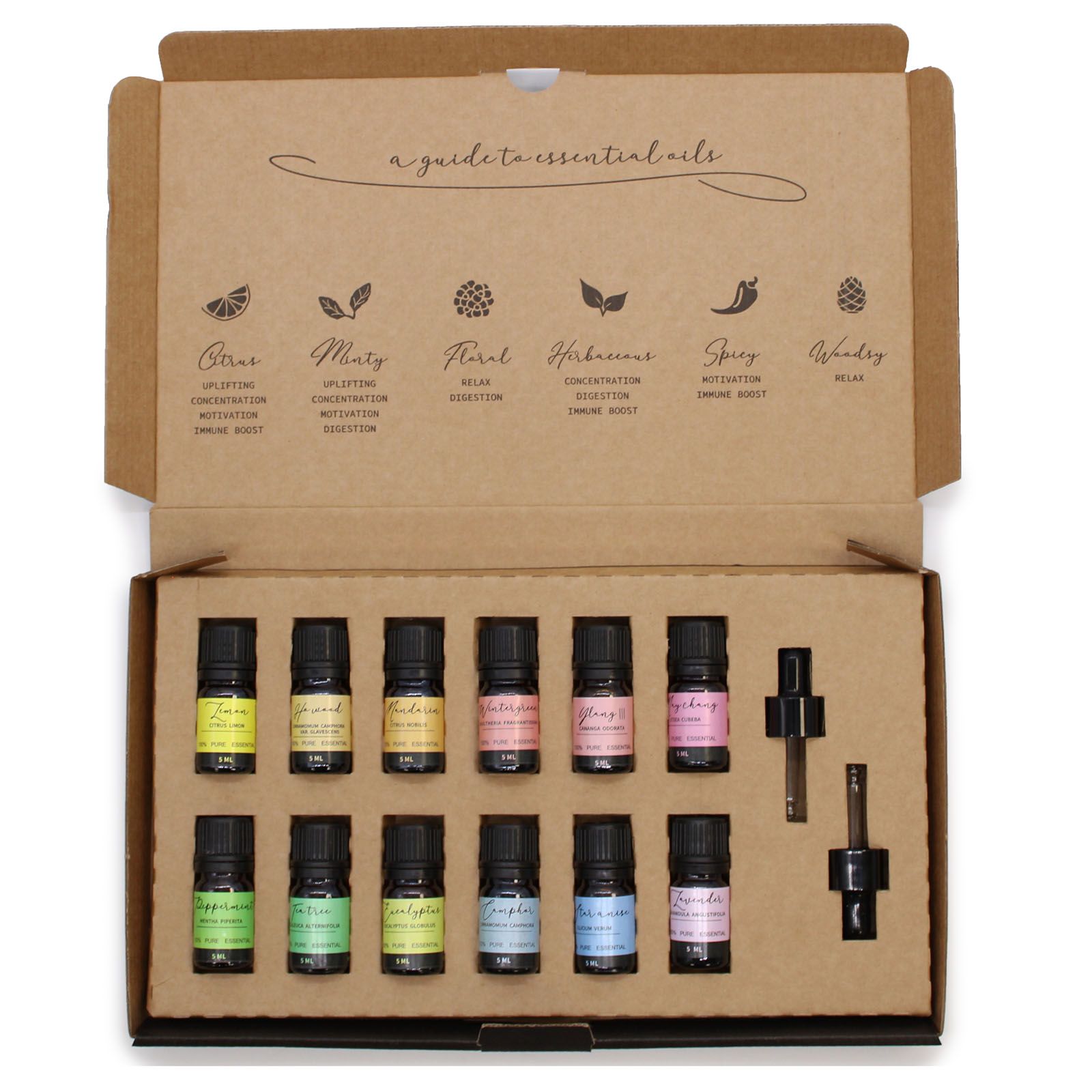Aromatherapy Essential Oil Set - Starter Pack 🇬🇧
