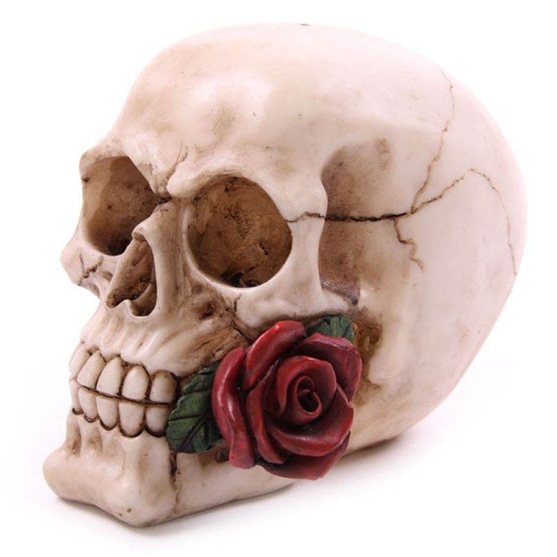 Skull with Roses - Random Design 🇬🇧