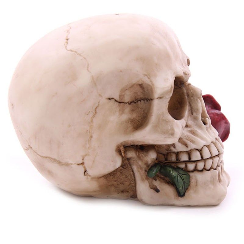 Skull with Roses - Random Design 🇬🇧
