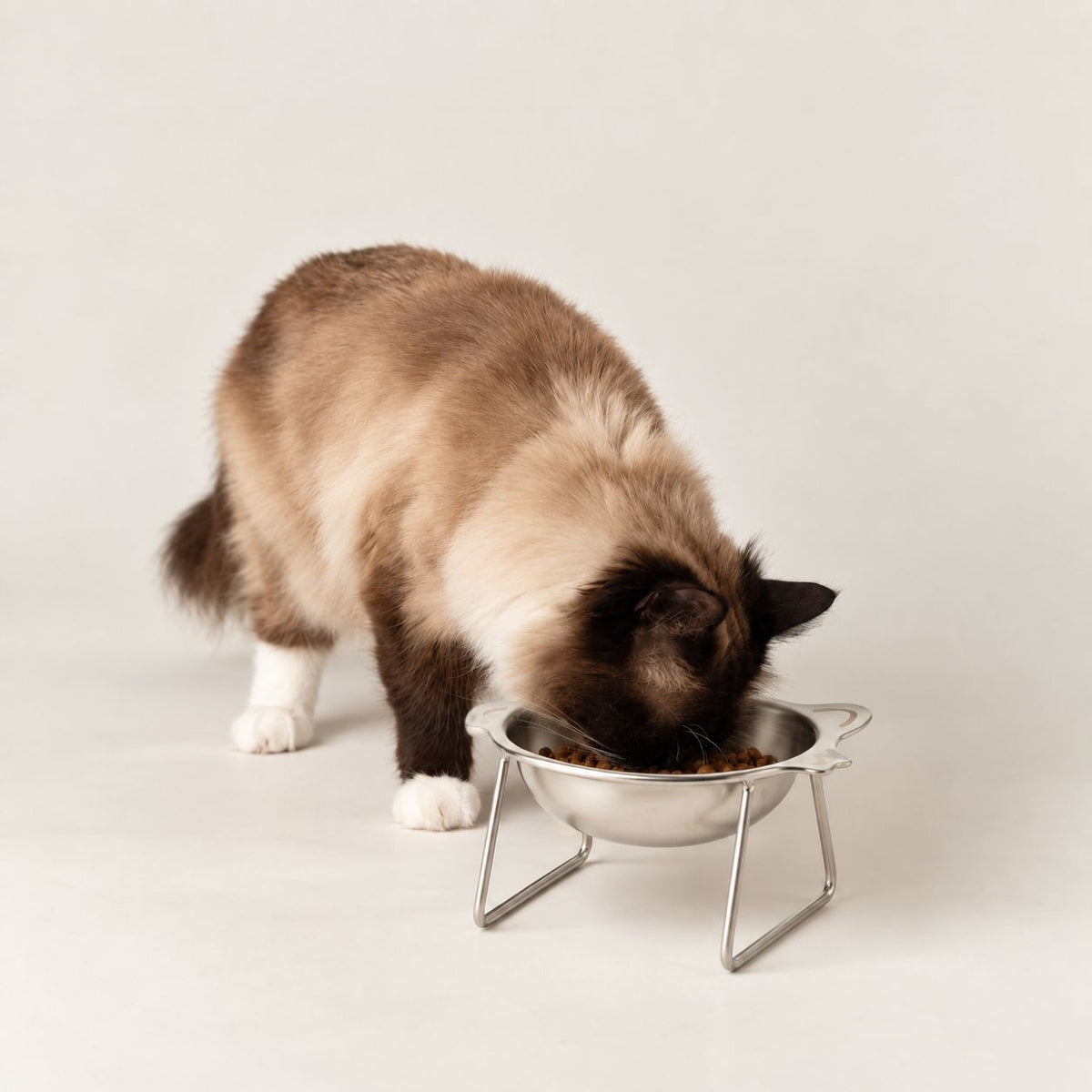 PAW Food Bowls - Single Cat Bowl in Stand - Stainless Steel (304) 🇬🇧