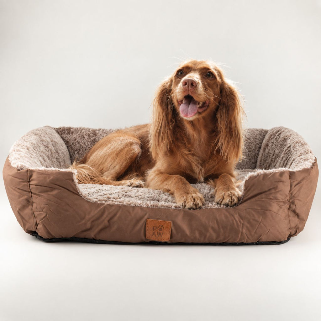 PAW Bed – Medium Plush Teddy Brown – 70 × 55 × 18cm 🇬🇧