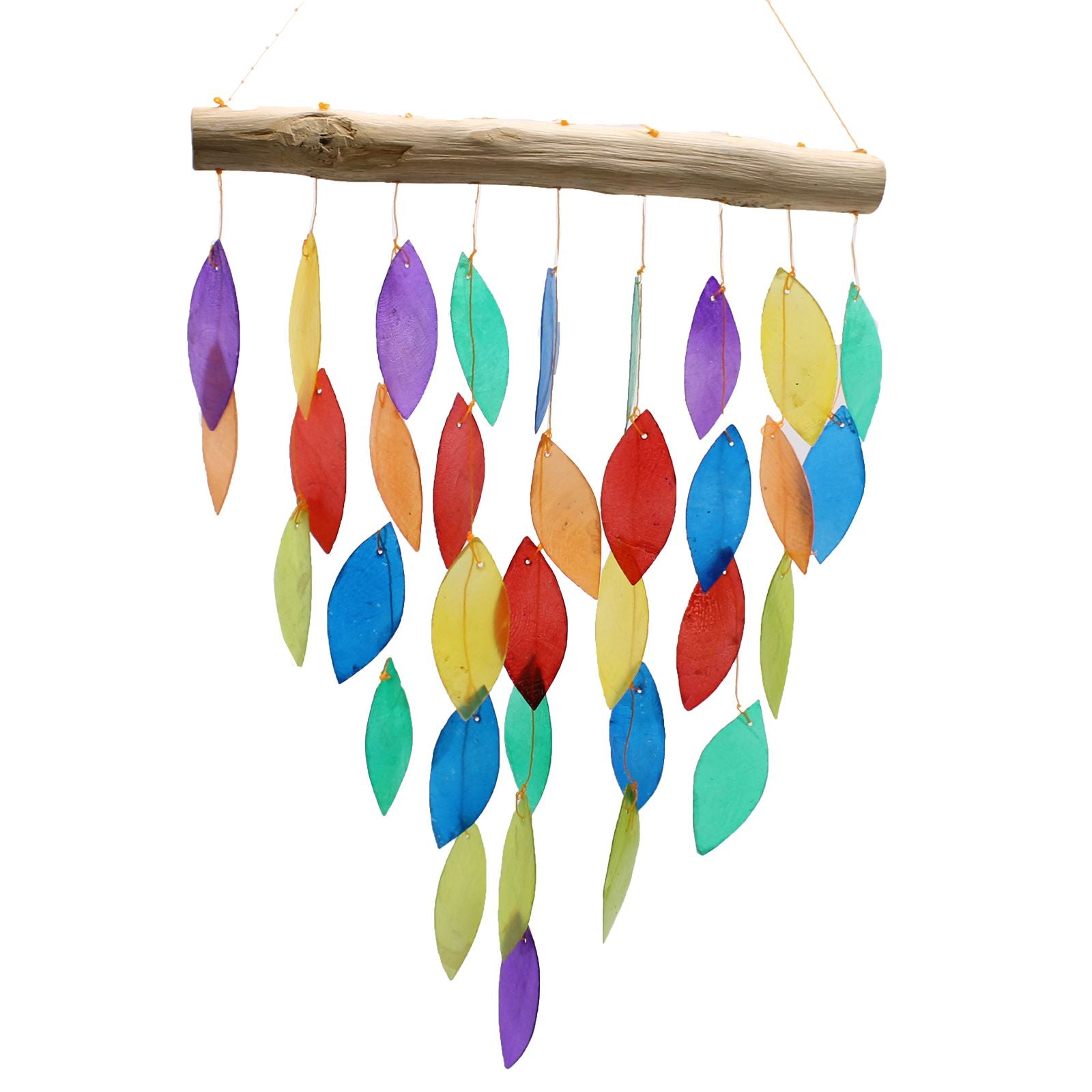 Rainbow Leaf Copis Chime 🇬🇧