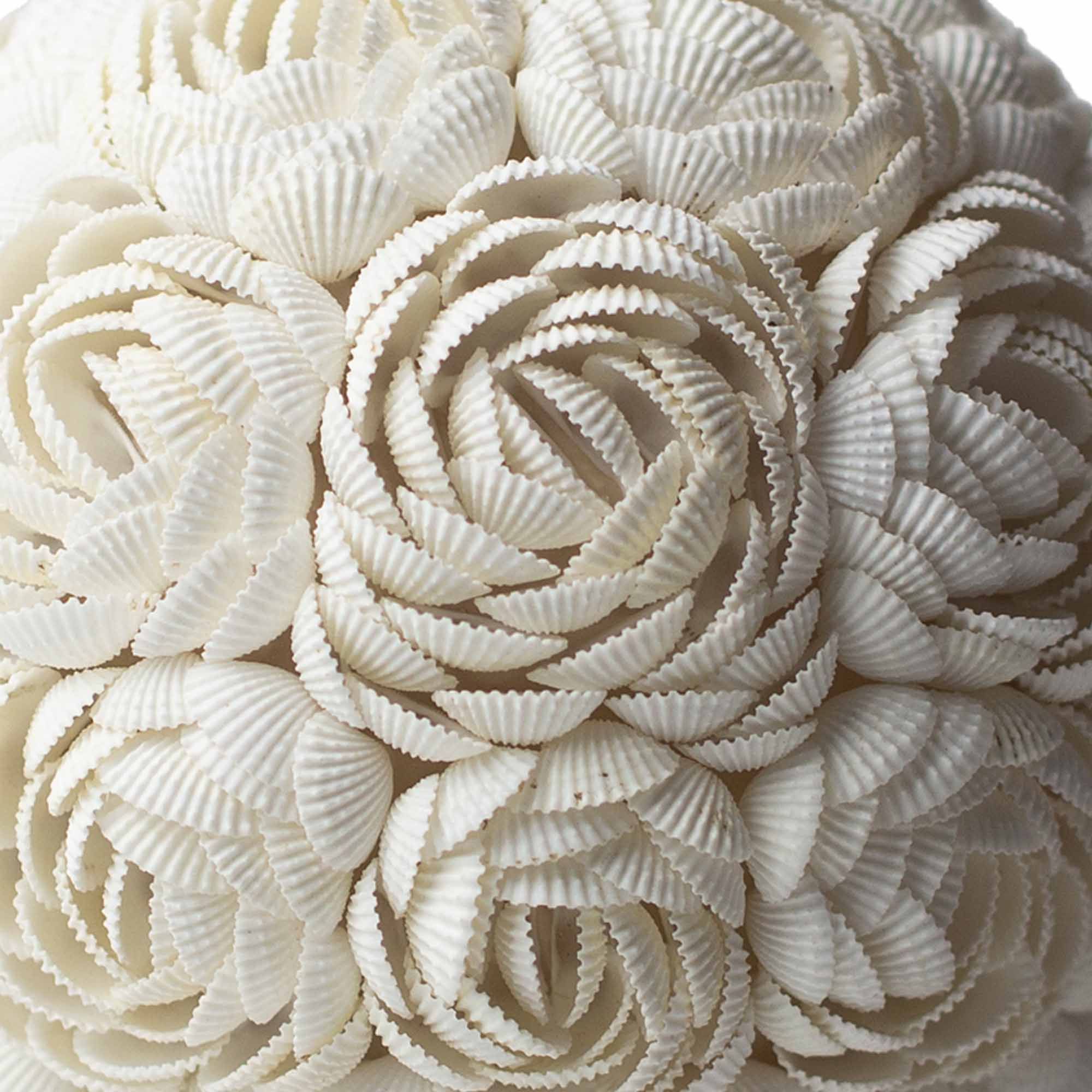 Boho Sea Shell Lamp - Rose Globe - 20cm 🇬🇧