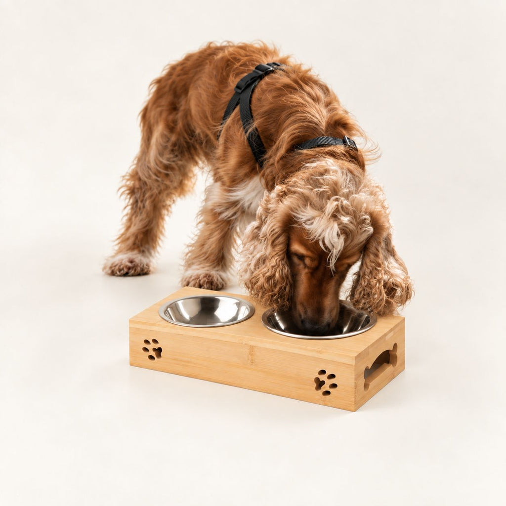 PAW Food Bowls - Double Stainless Steel in Wooden Stand - 2x12cm 🇬🇧