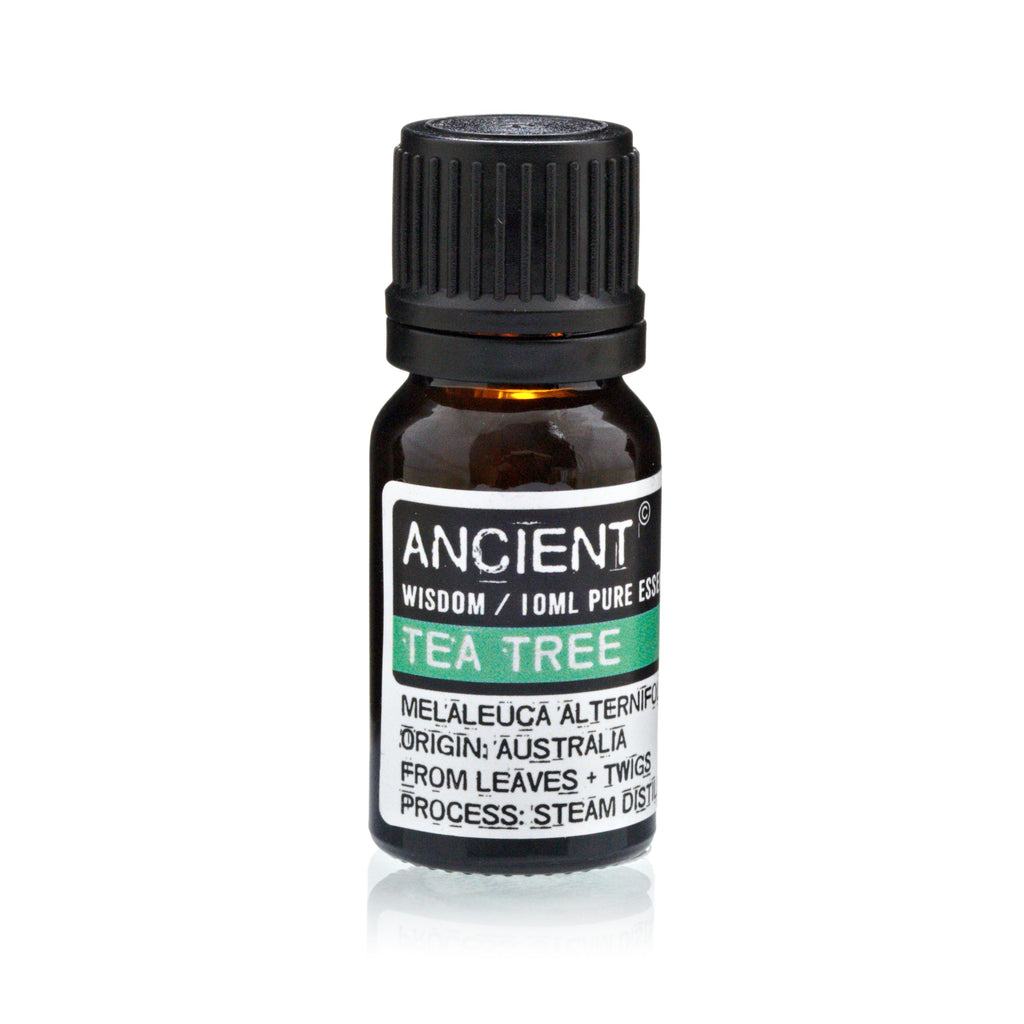 Set of Lavender, Tea Tree & Rosemary Essential Oils - 10ml Each 🇬🇧