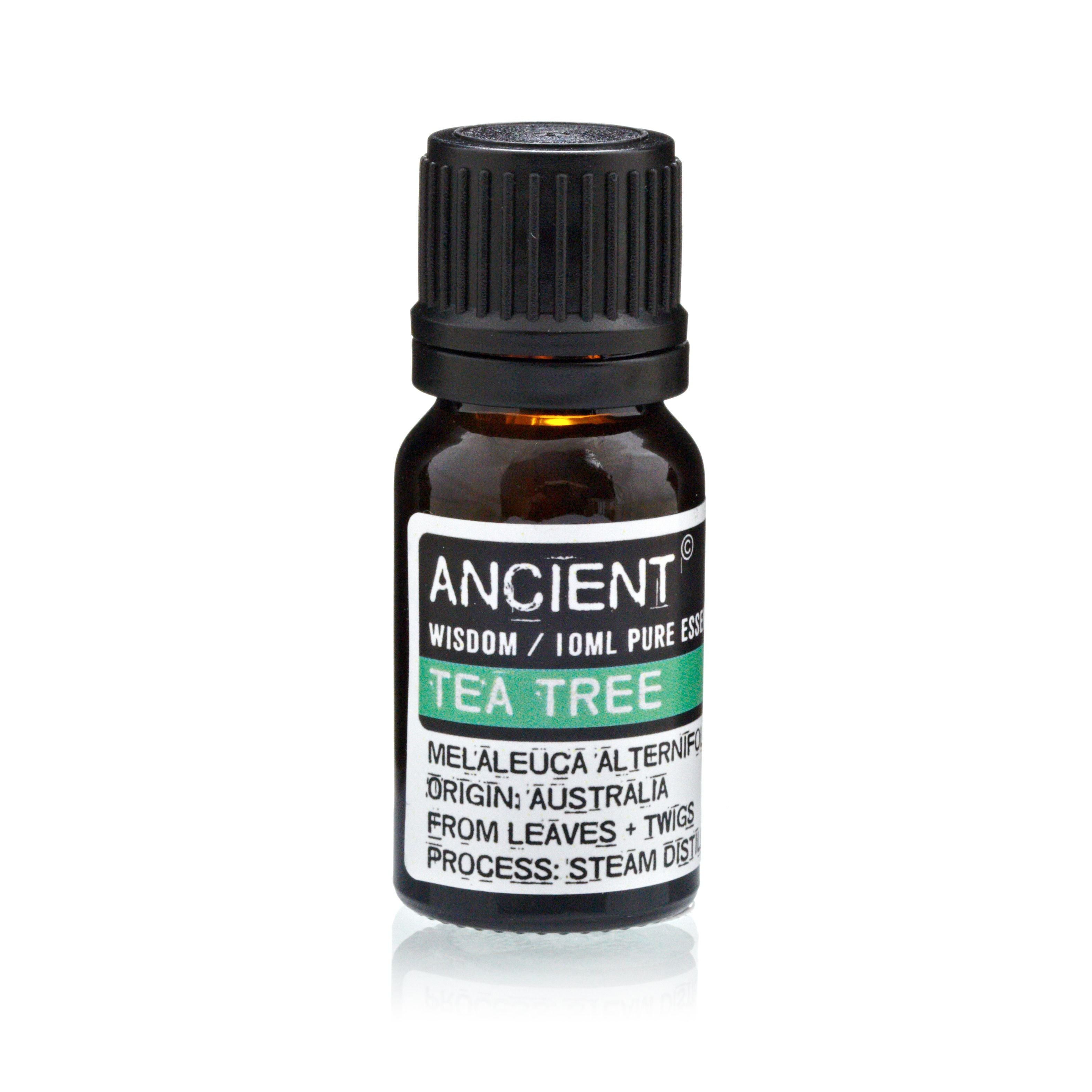 Set of Lavender, Tea Tree & Rosemary Essential Oils - 10ml Each 🇬🇧