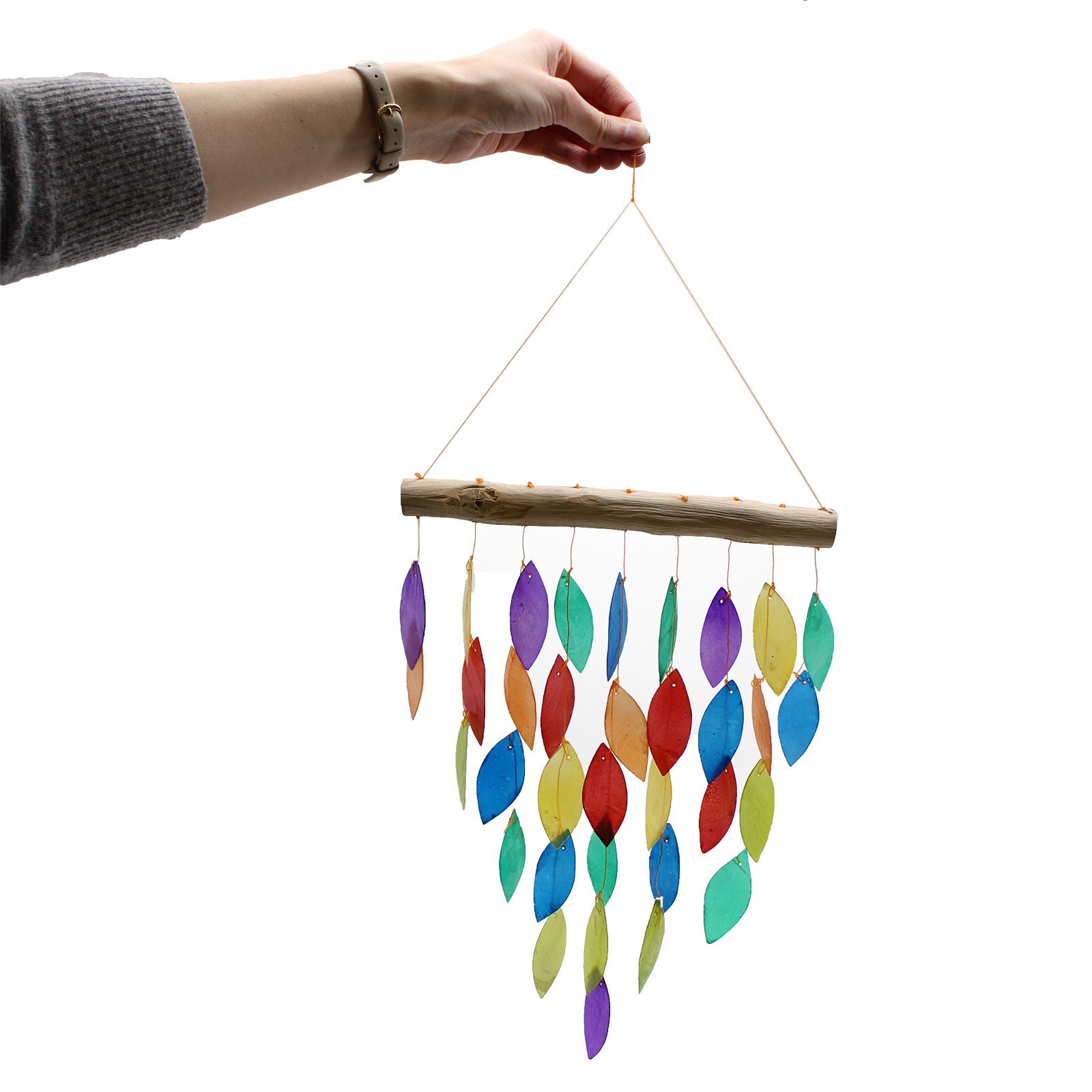 Rainbow Leaf Copis Chime 🇬🇧