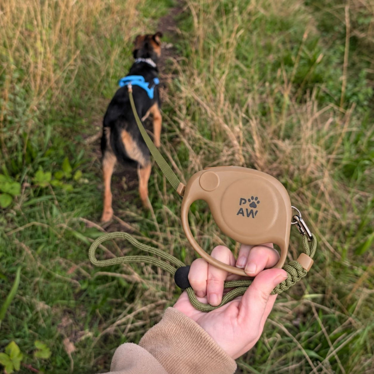 Paw Pet Leash - Elephant Strap - Brown - 2m 🇬🇧