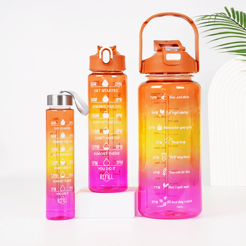 3-in-1 Plastic Straw Double Drink Translucent Outdoor Sports Bottle 🇨🇳