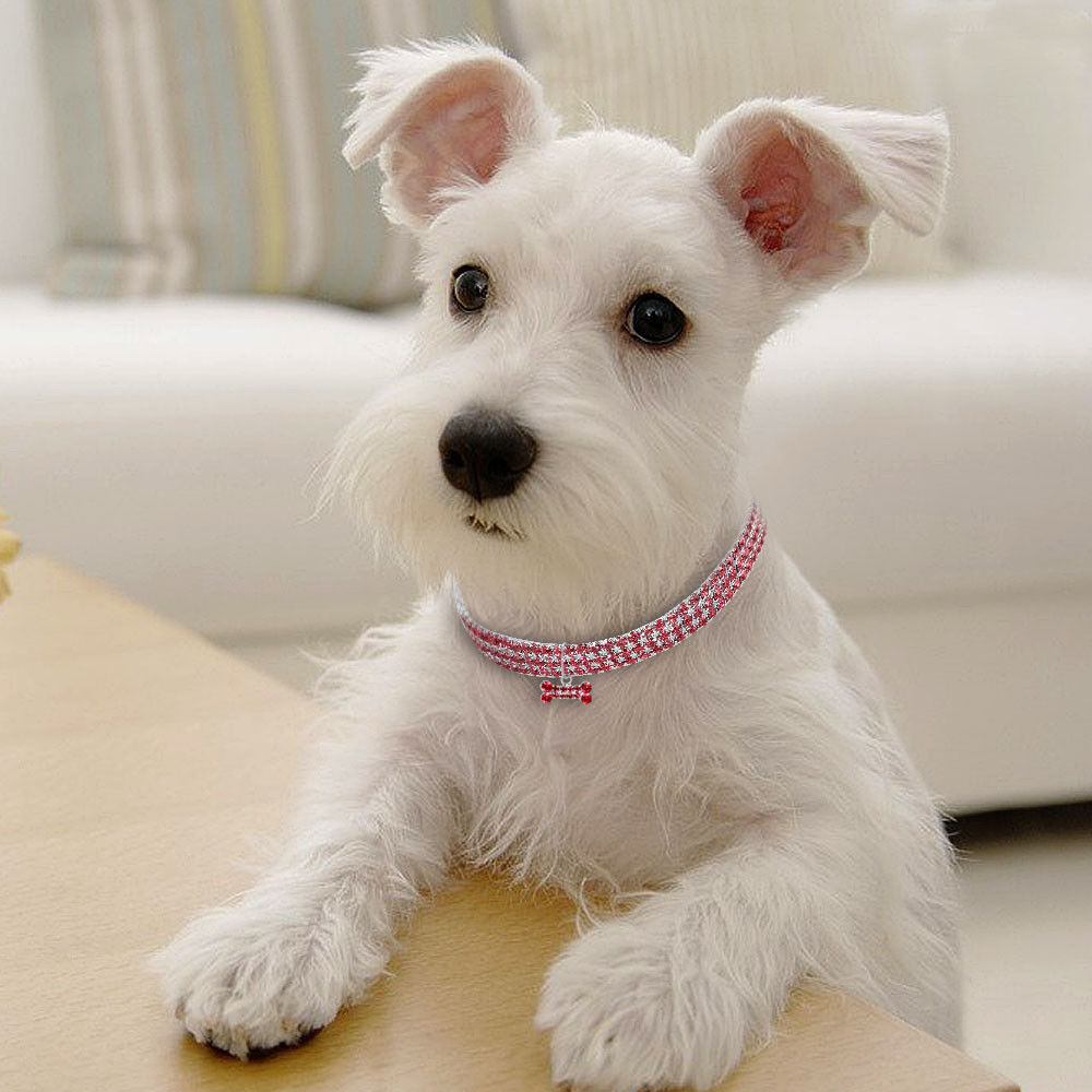 Bling Rhinestone Dog Collar Crystal Puppy Chihuahua Pet Dog Collars Leash For Small Medium Dogs Cats 🇨🇳