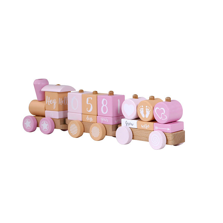 Fashion Small Train Early Education Wooden Toys 🇨🇳