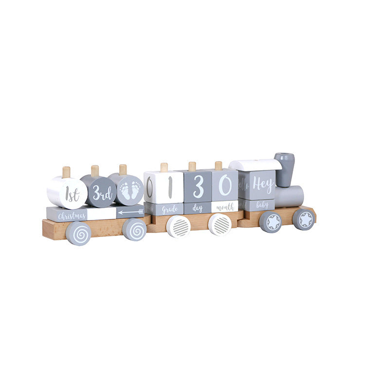 Fashion Small Train Early Education Wooden Toys 🇨🇳