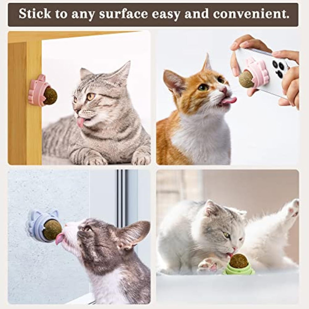 Catnip Balls That Stick On Wall Treats 🇨🇳