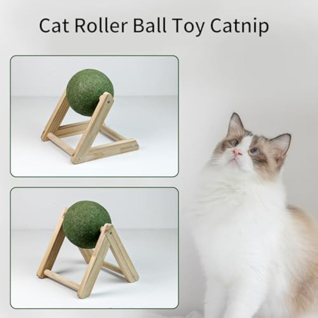 Cat Nip For Cats Safe Healthy Cat Nip Toys Giant Catnip Ball With Holder 🇨🇳