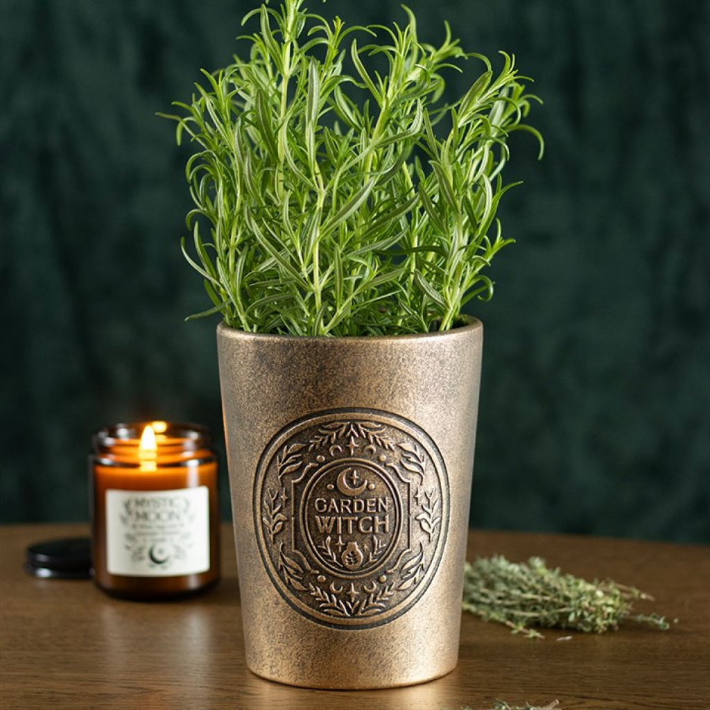 Garden Witch Bronze Effect Terracotta Plant Pot 🇬🇧