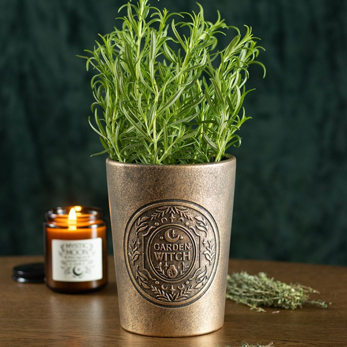Garden Witch Bronze Effect Terracotta Plant Pot 🇬🇧