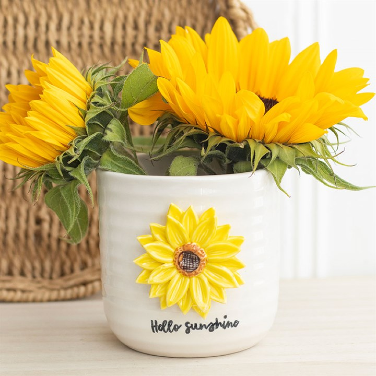 Hello Sunshine Plant Pot with 3D Sunflower 🇬🇧