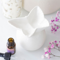 White Butterfly Oil Burner 🇬🇧