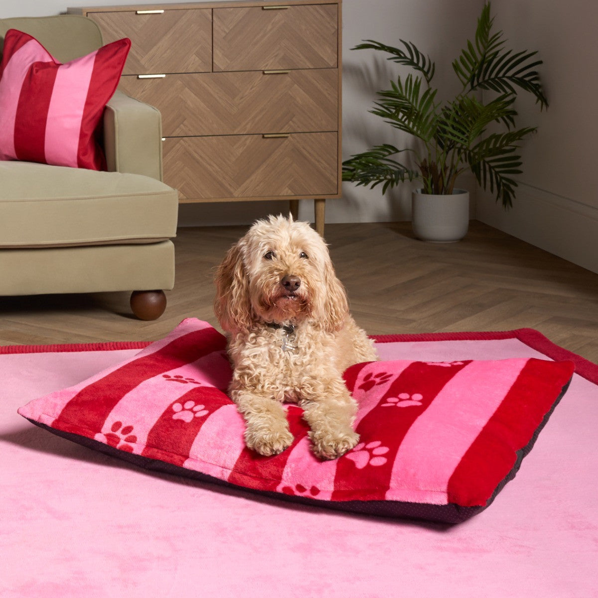 Stripe Paw Print Pet Bed 🇬🇧