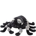 Suki - Jumbo Grey & Black Sid Tarantula 🇬🇧