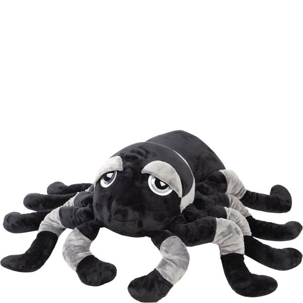 Suki - Jumbo Grey & Black Sid Tarantula 🇬🇧
