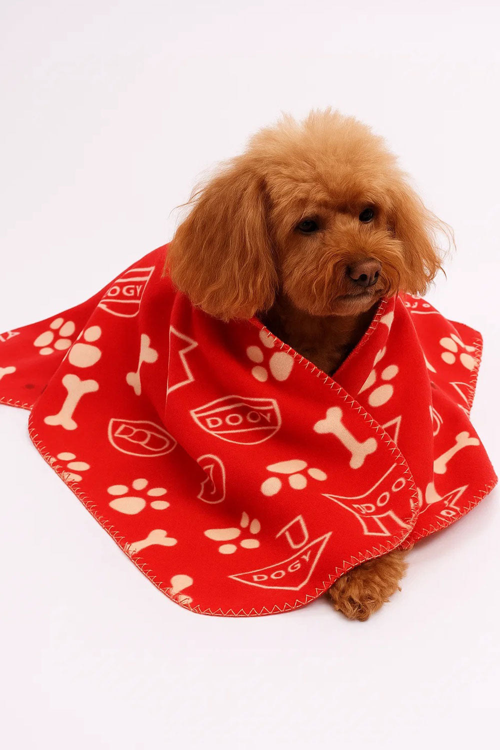 Pet Thin Soft Polyester Blanket - 3/6 Pack 🇬🇧