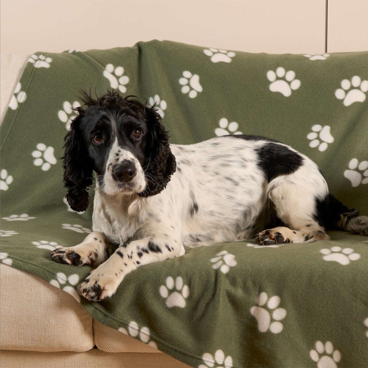 Pet Paw Print Fleece Throw 🇬🇧