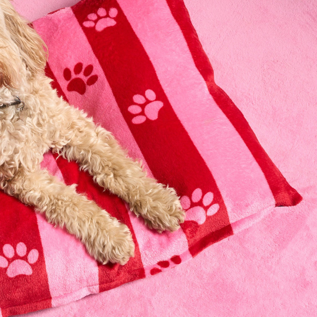 Stripe Paw Print Pet Bed 🇬🇧